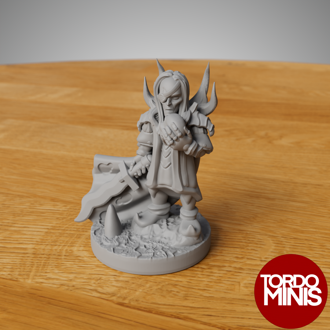 Blood and ron: Lord pirate (10mm scale)
